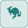 كنغر