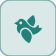 كوكابورا