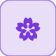 النثرة (النثرة)