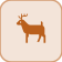 مازاتل