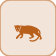 أوسيلوتل