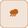 كوياويتل