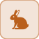 توتشتلي