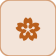 زوتشيتل