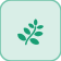 واريجا