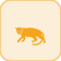 بوما